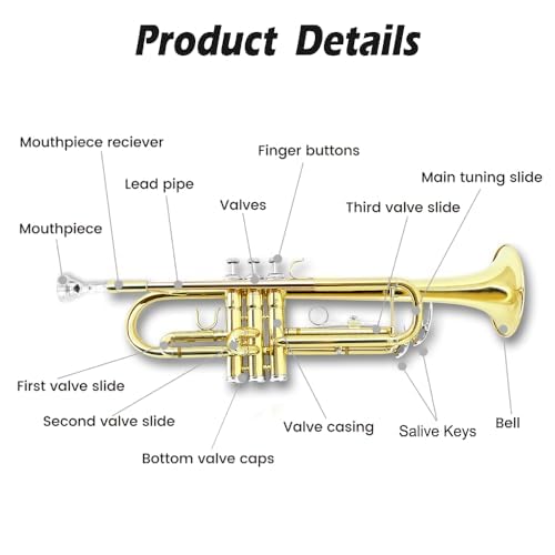 Bb Standard Trumpet Set with Hard Case, 7C Mouthpiece B35936
