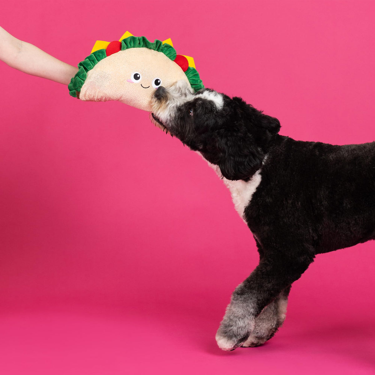 Large Plush Dog Toy Z451635