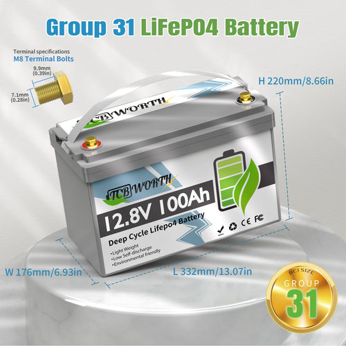 12V 100Ah LiFePO4 Deep Cycle Lithium Battery with 100A BMS S528