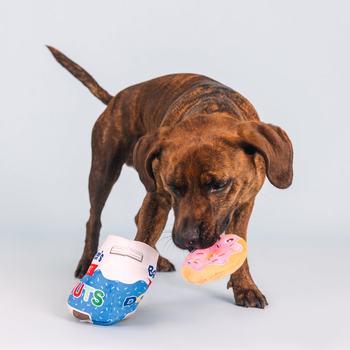 Plush Dog Toy Set A87804