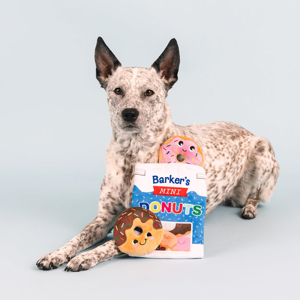 Plush Dog Toy Set A87804