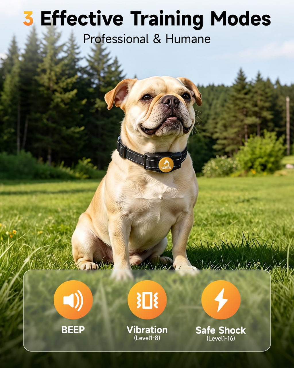 Rechargeable Dog Training Collar with Remote F1466