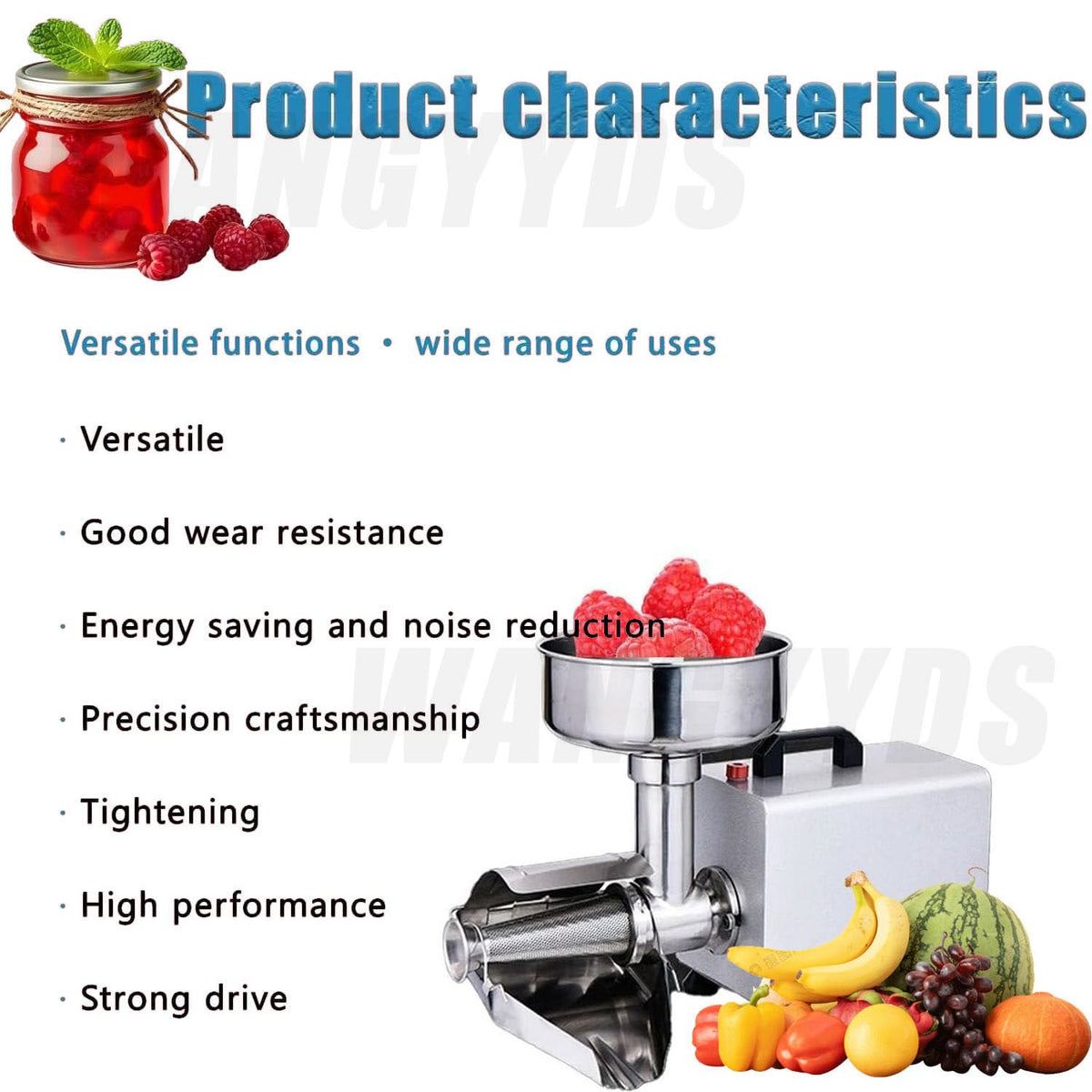 450W Electric Tomato Strainer Stainless Steel A35998