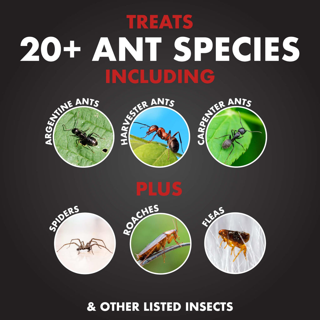 Ant Killer Ready-to-Use 1 Gal I259991