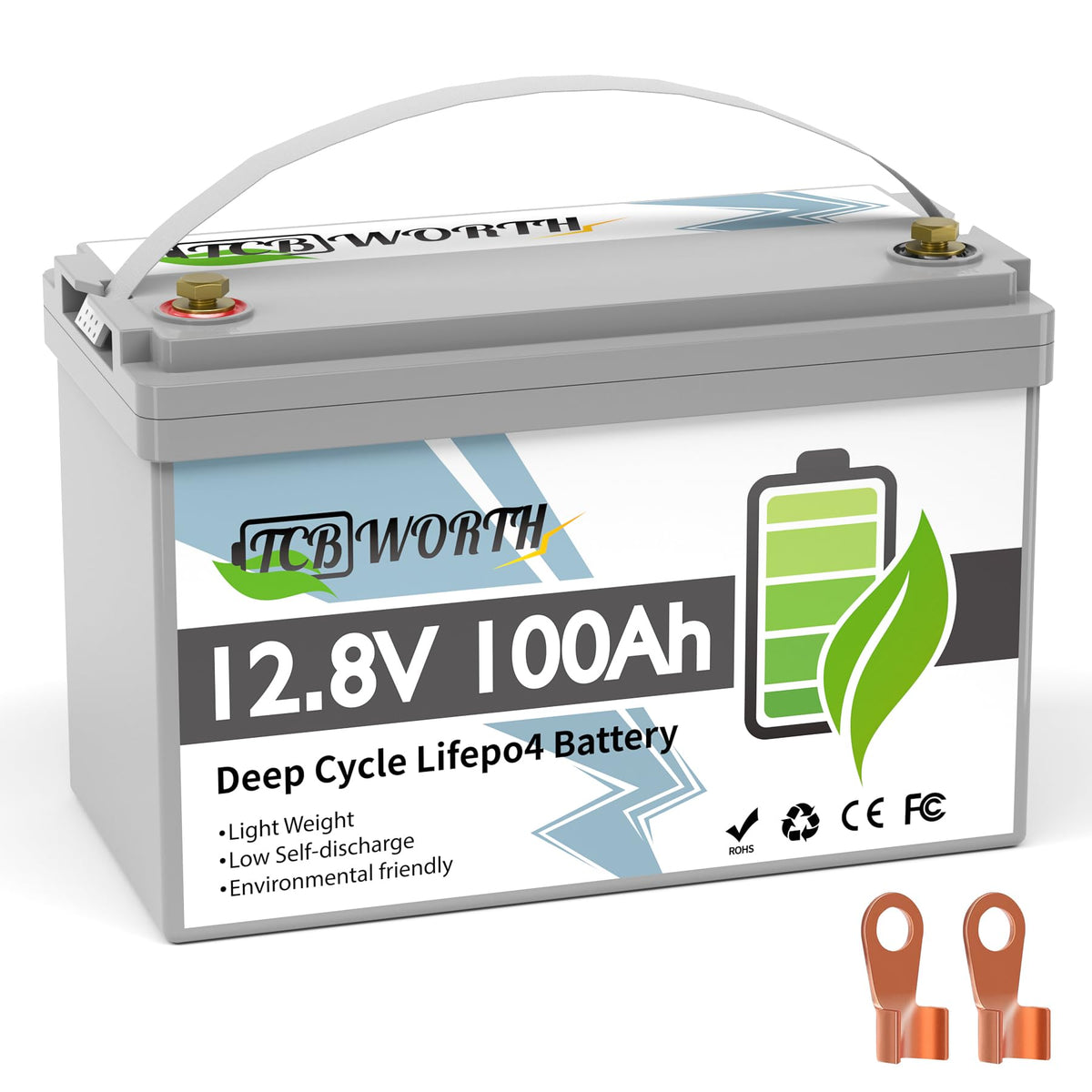 12V 100Ah LiFePO4 Deep Cycle Lithium Battery with 100A BMS S528