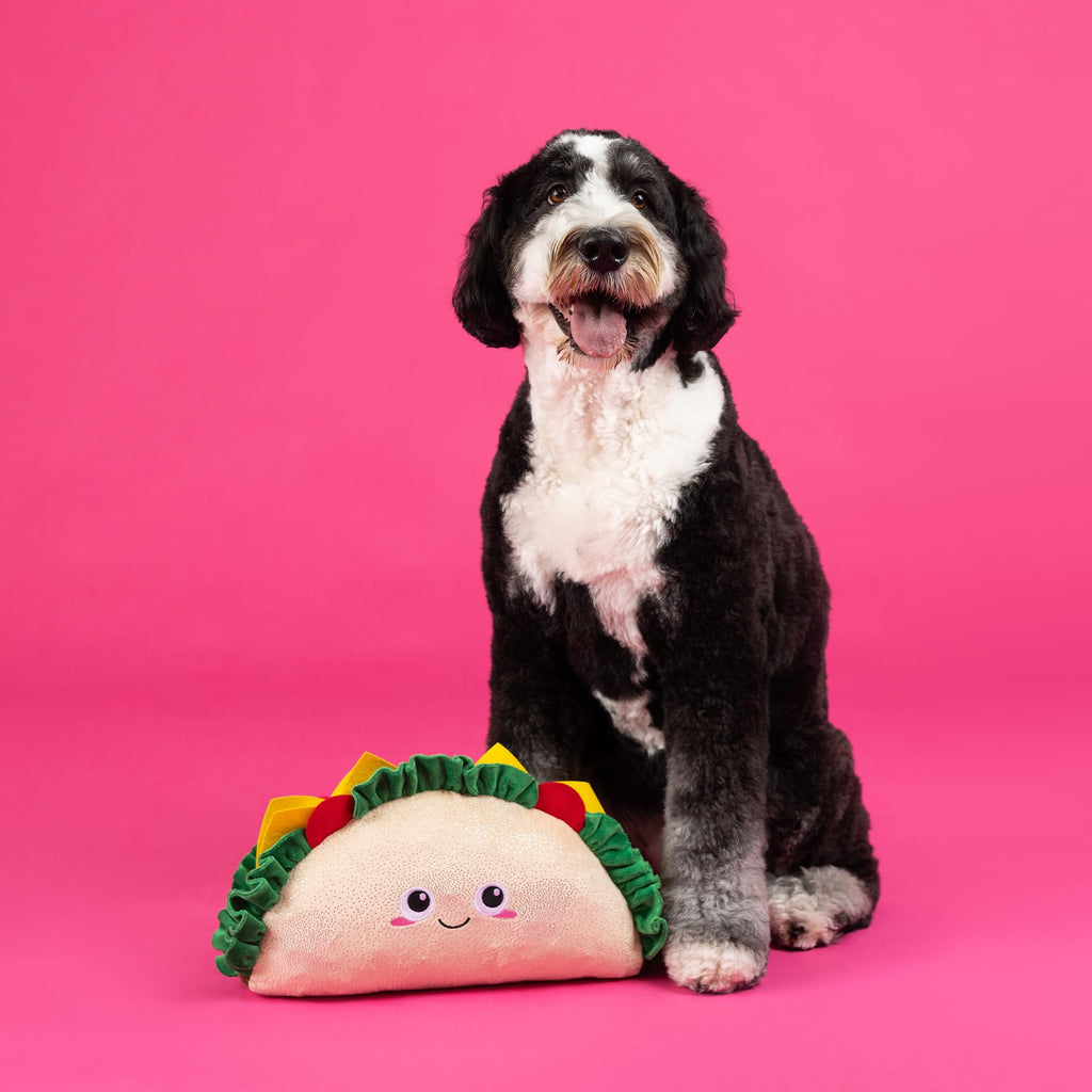 Large Plush Dog Toy Z451635