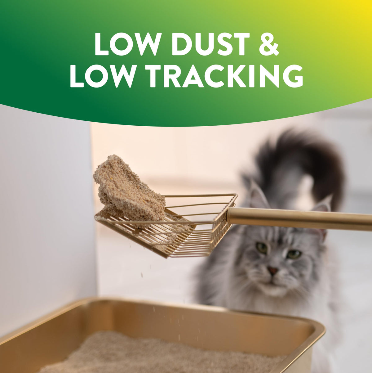Plant-Based Clumping Cat Litter Unscented 15 Lbs H9646