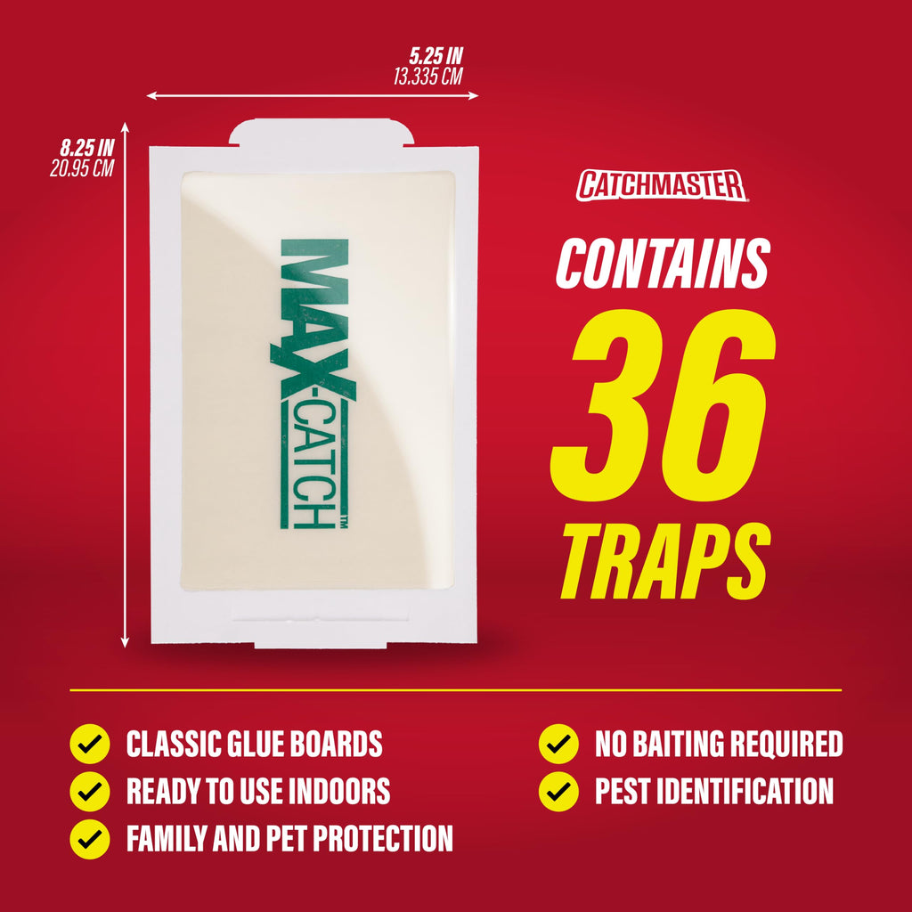 Glue Traps 36pk I17660