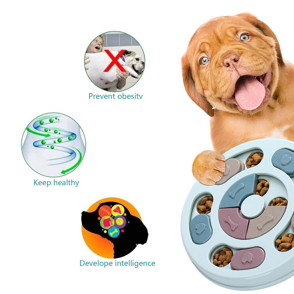 Dog Treat Puzzle O96088