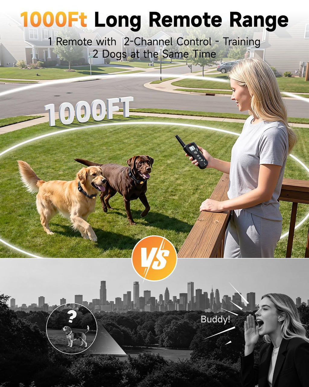 Rechargeable Dog Training Collar with Remote F1466