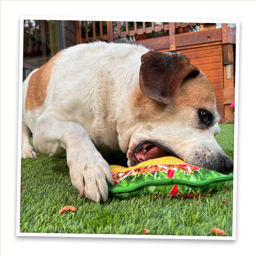 Squeaky Refillable Plush Dog Toy G36989