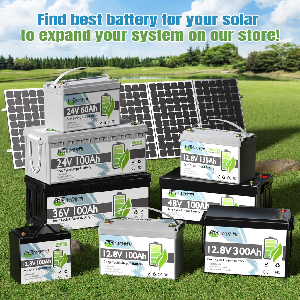 12V 100Ah LiFePO4 Deep Cycle Lithium Battery with 100A BMS S528
