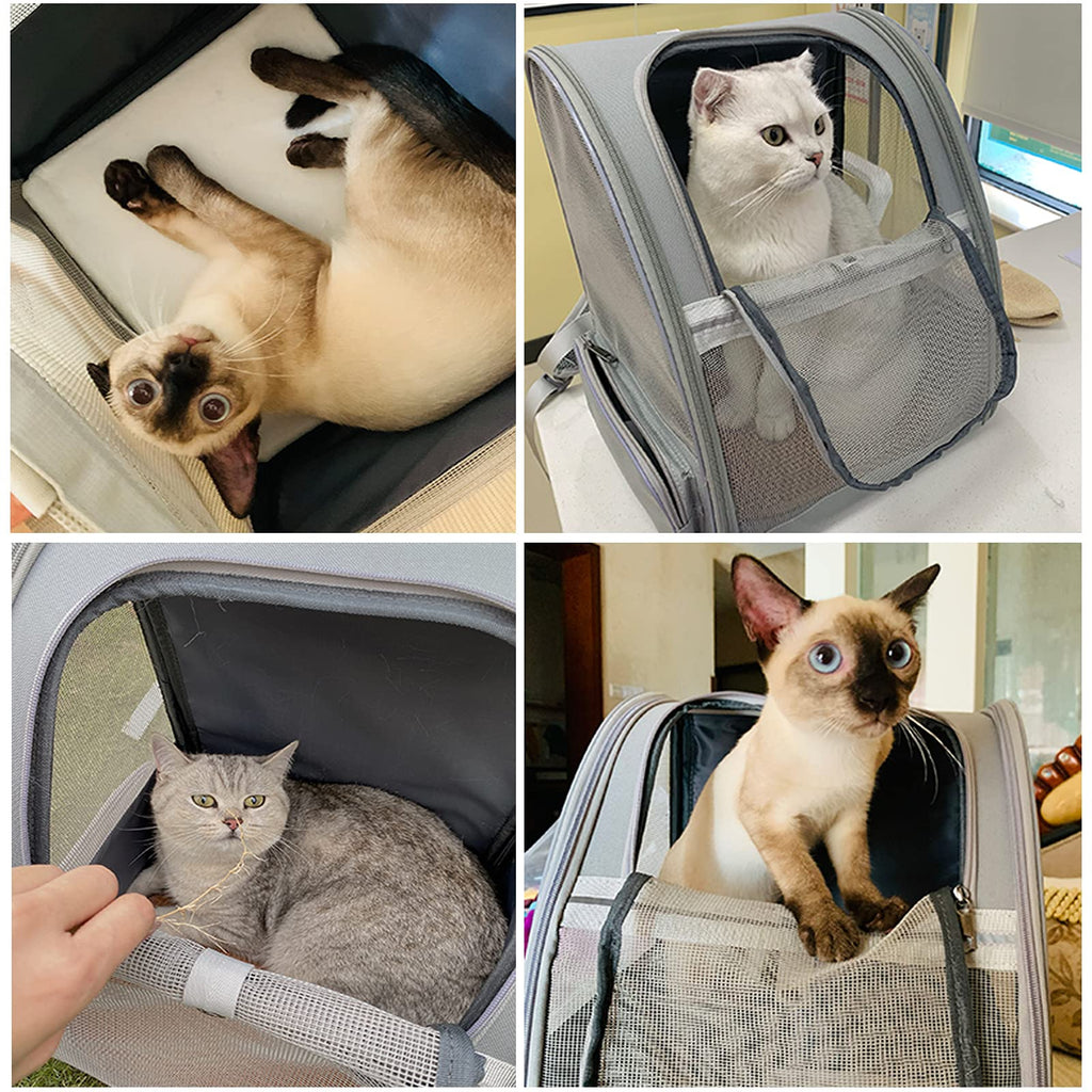 Bubble Backpack Pet Carriers R8062