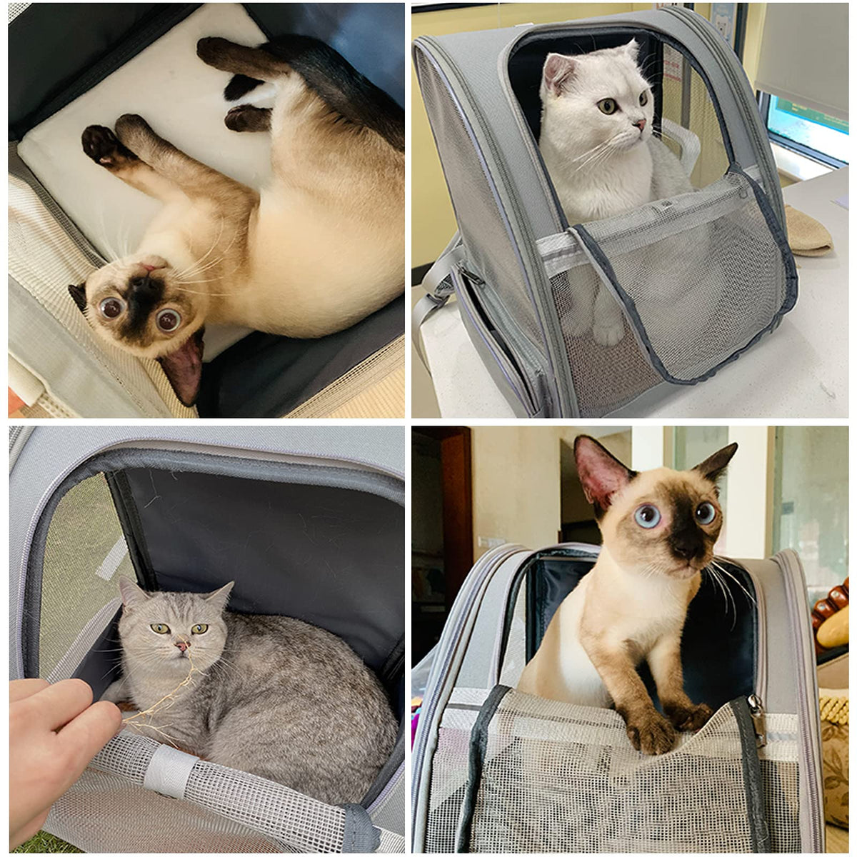 Bubble Backpack Pet Carriers R8062