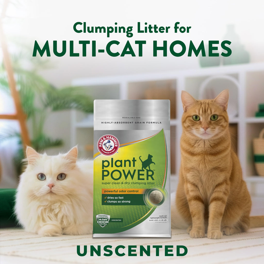 Plant-Based Clumping Cat Litter Unscented 15 Lbs H9646