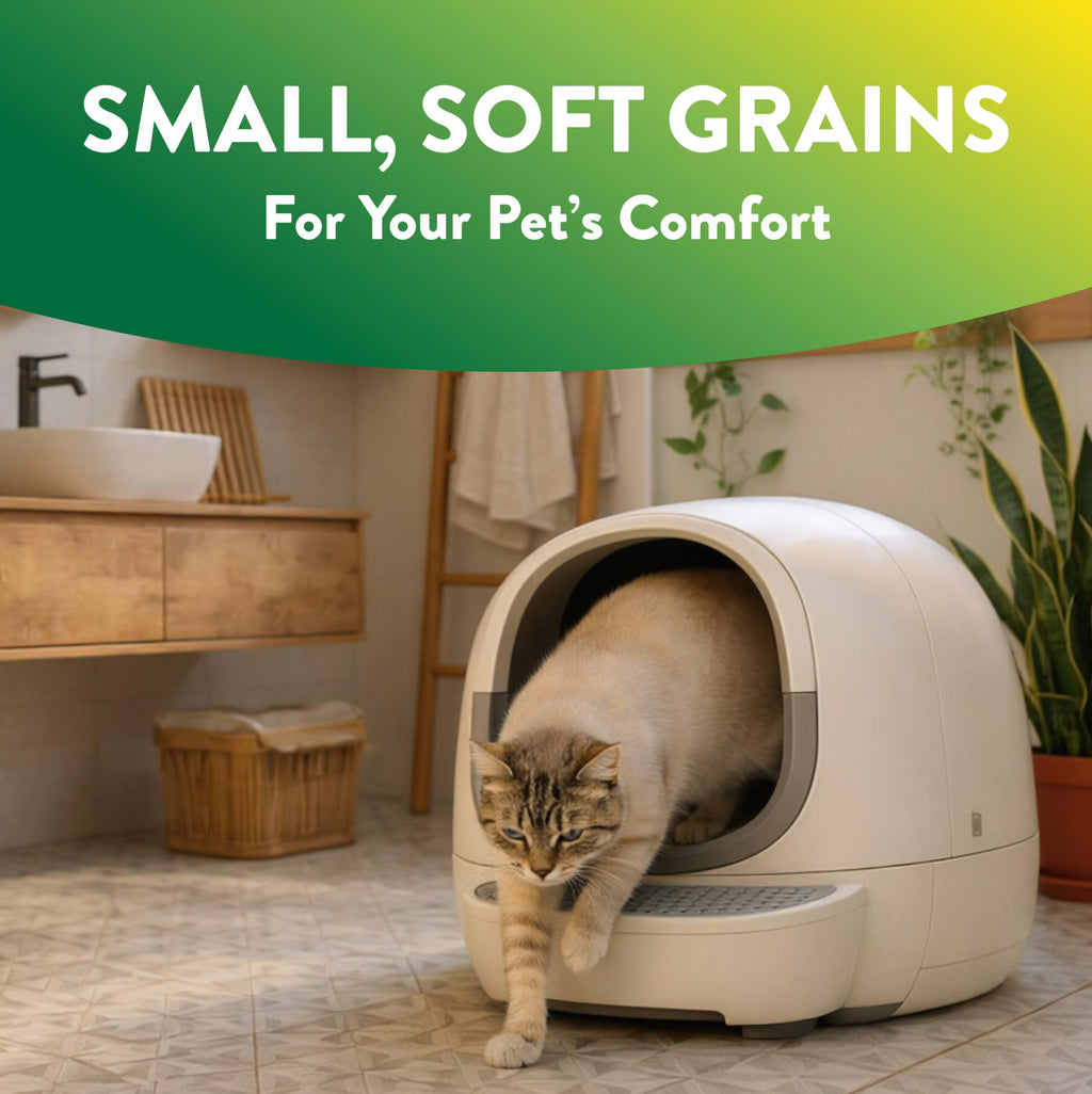 Plant-Based Clumping Cat Litter Unscented 15 Lbs H9646