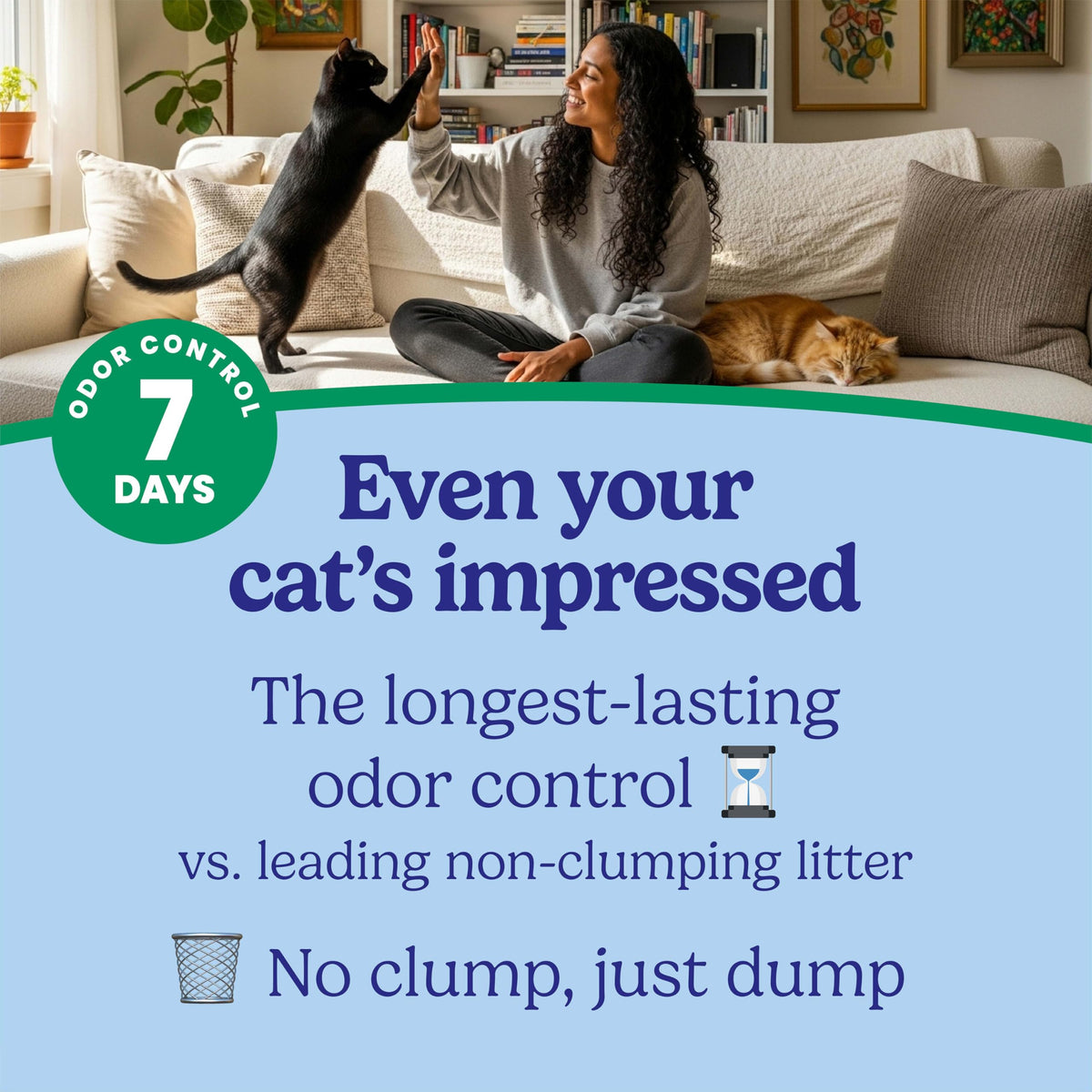 Non-Clumping Cat Litter with Odor Control, 35 lb. Bag A508