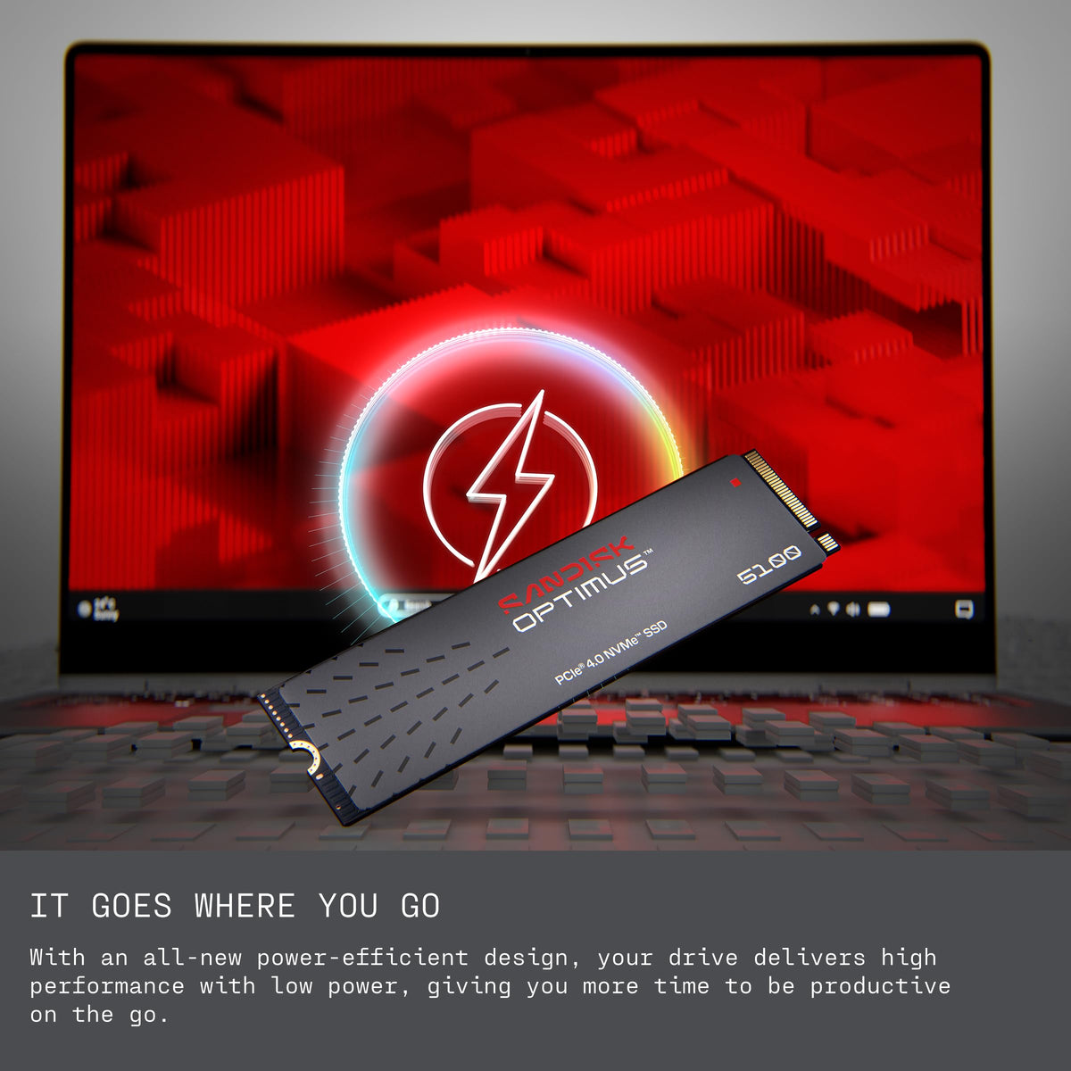 2TB NVMe SSD, PCIe 4.0, M.2 2280 S800