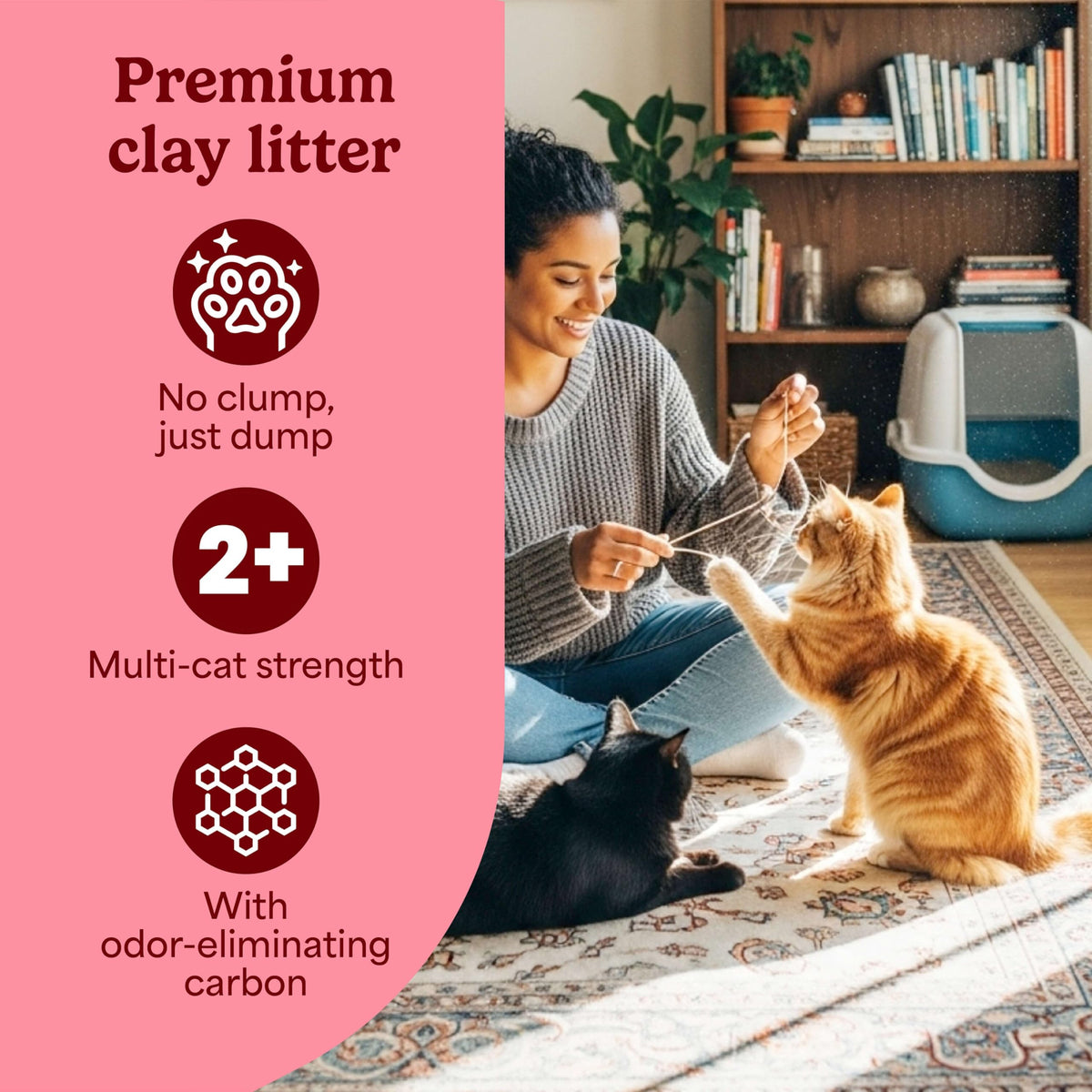 Non-Clumping Cat Litter with Odor Control, 35 lb. Bag A508