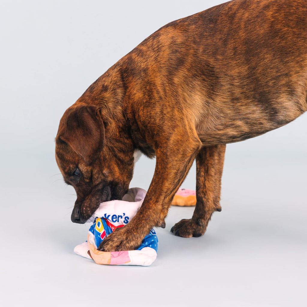 Plush Dog Toy Set A87804