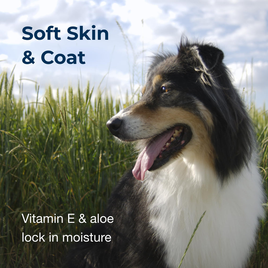 Linen Scented Shampoo 1 Gallon with Vitamin E & Aloe Vera I6525
