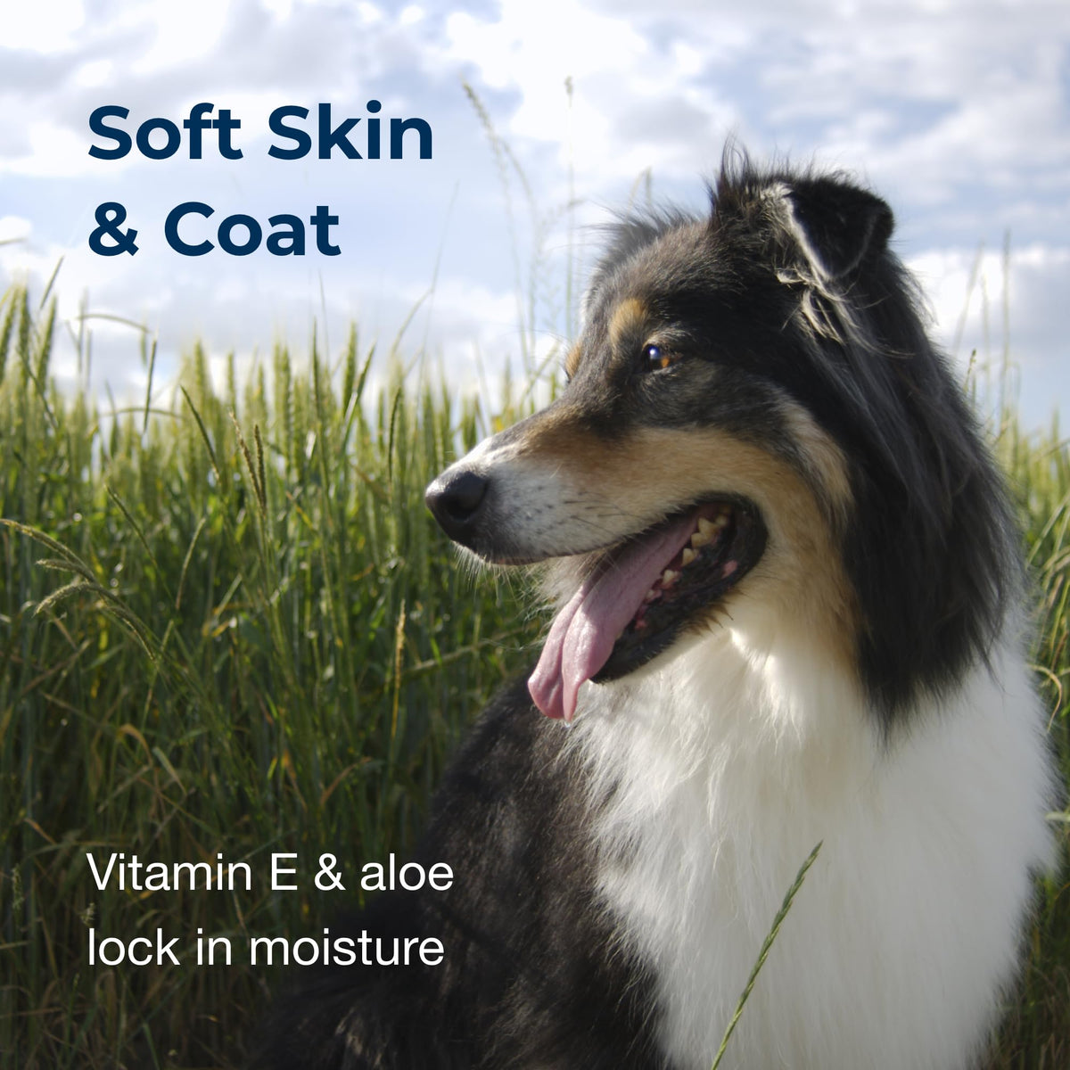 Linen Scented Shampoo 1 Gallon with Vitamin E & Aloe Vera I6525