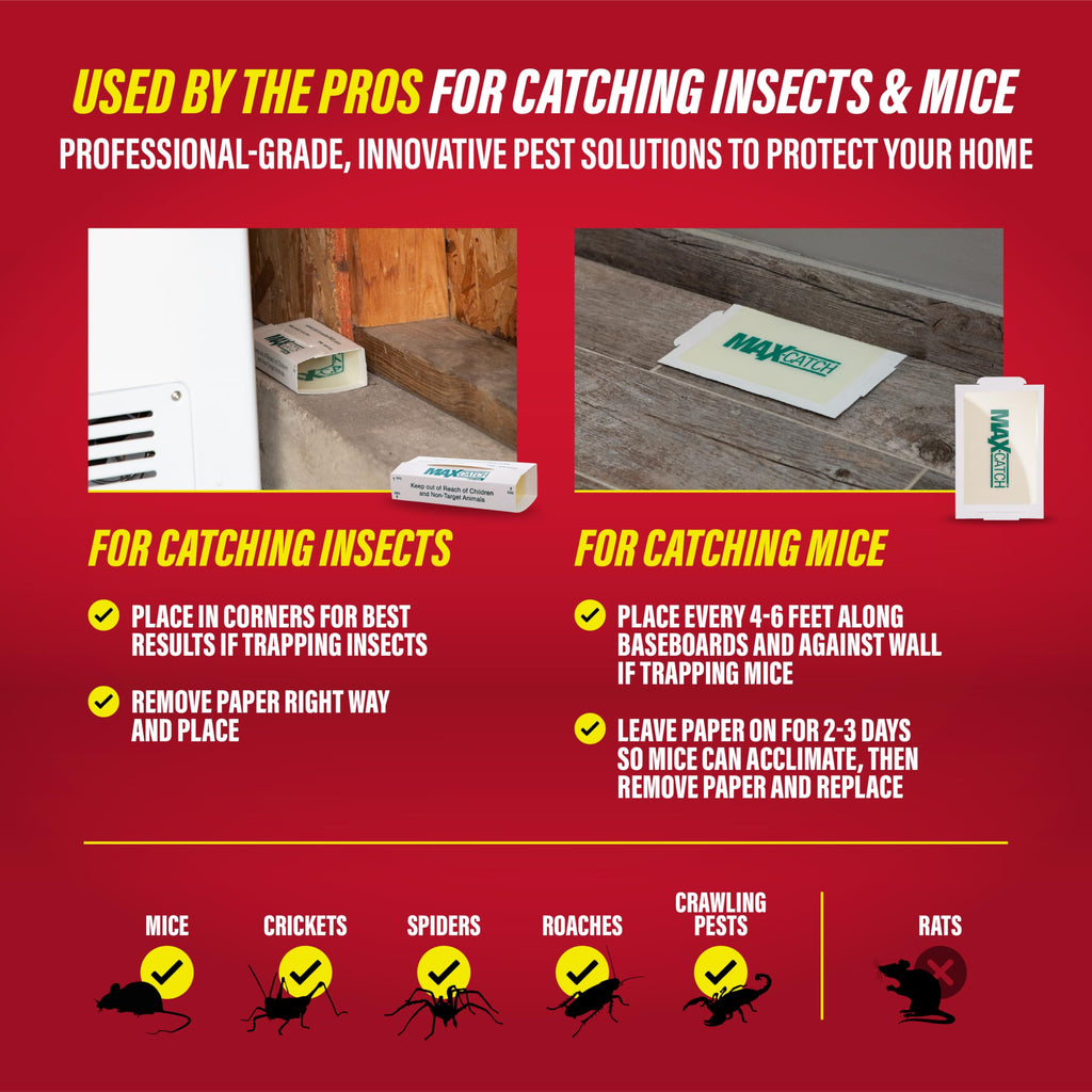 Glue Traps 36pk I17660