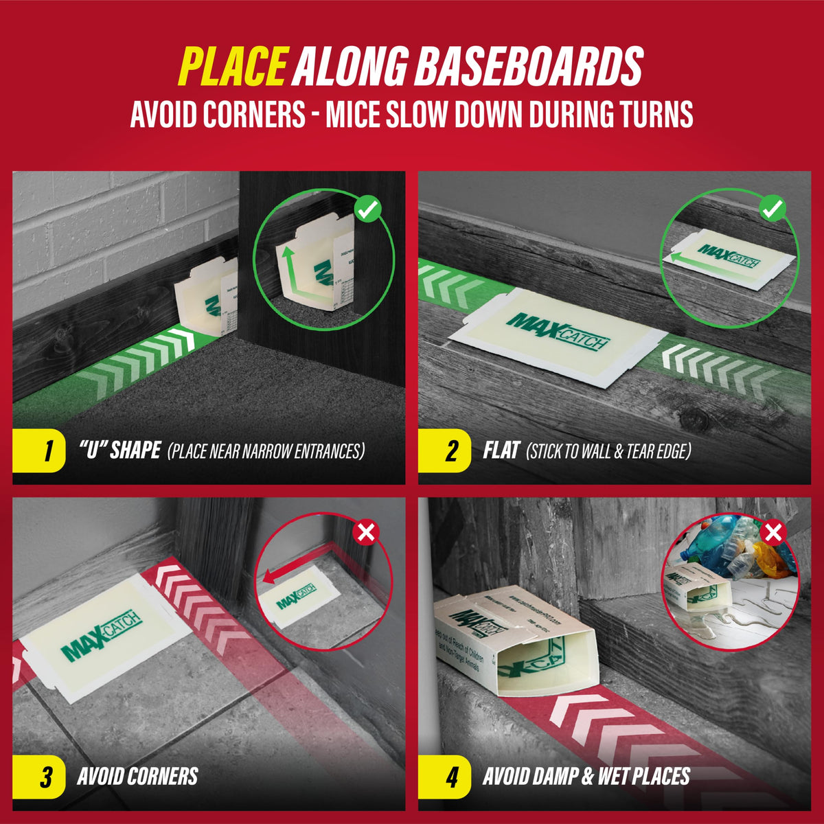 Glue Traps 36pk I17660