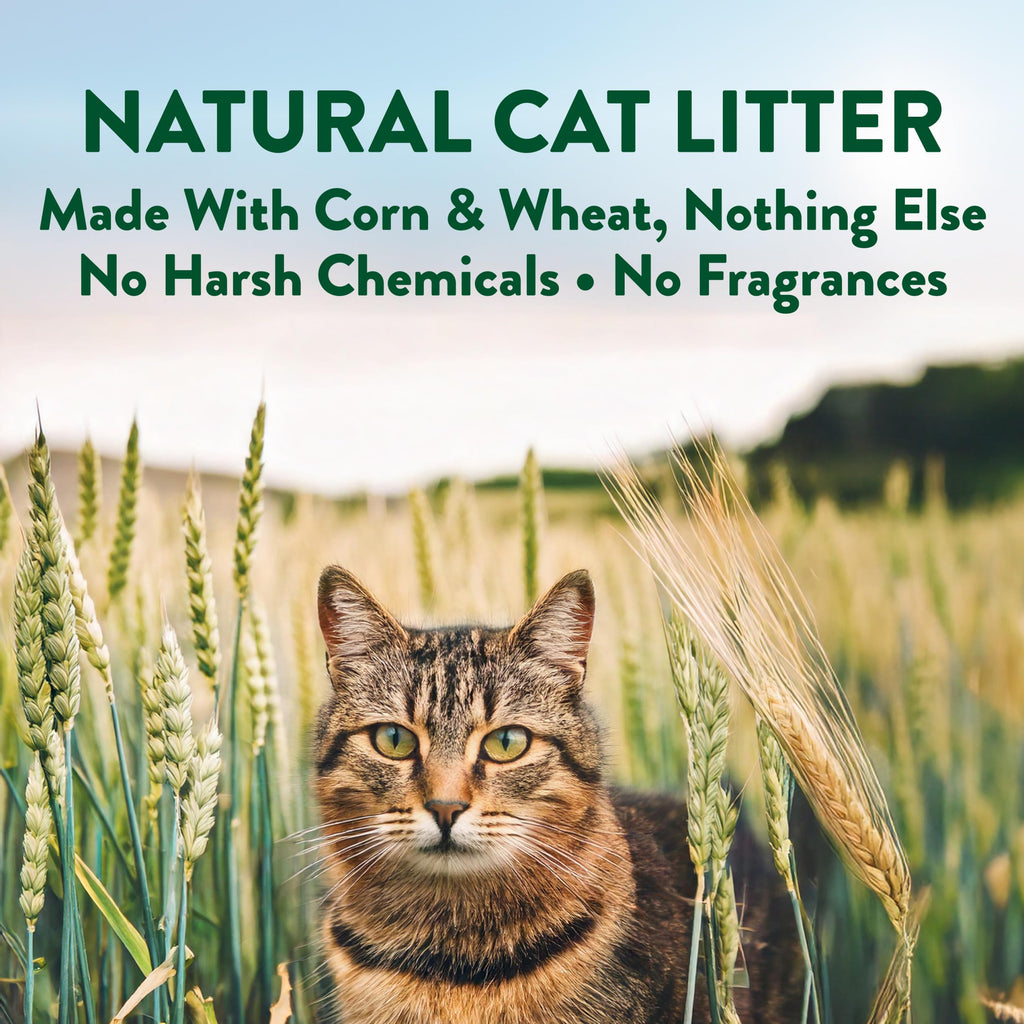 Plant-Based Clumping Cat Litter Unscented 15 Lbs H9646