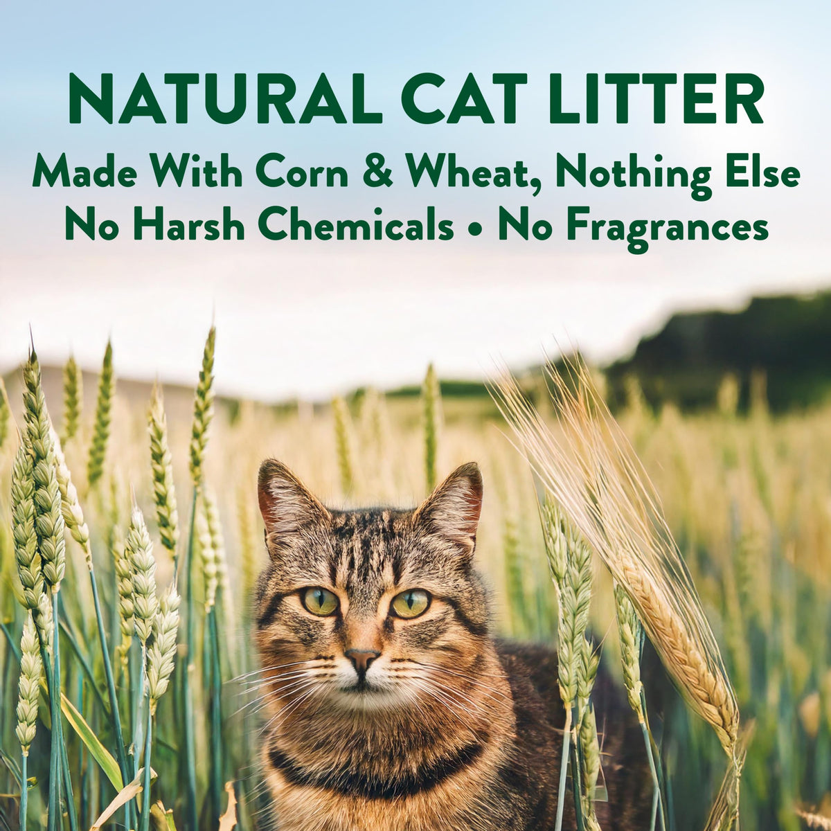 Plant-Based Clumping Cat Litter Unscented 15 Lbs H9646